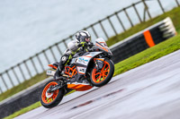 PJ-Motorsport;anglesey-no-limits-trackday;anglesey-photographs;anglesey-trackday-photographs;enduro-digital-images;event-digital-images;eventdigitalimages;no-limits-trackdays;peter-wileman-photography;racing-digital-images;trac-mon;trackday-digital-images;trackday-photos;ty-croes