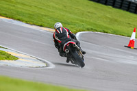 PJ-Motorsport;anglesey-no-limits-trackday;anglesey-photographs;anglesey-trackday-photographs;enduro-digital-images;event-digital-images;eventdigitalimages;no-limits-trackdays;peter-wileman-photography;racing-digital-images;trac-mon;trackday-digital-images;trackday-photos;ty-croes