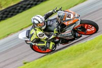 PJ-Motorsport;anglesey-no-limits-trackday;anglesey-photographs;anglesey-trackday-photographs;enduro-digital-images;event-digital-images;eventdigitalimages;no-limits-trackdays;peter-wileman-photography;racing-digital-images;trac-mon;trackday-digital-images;trackday-photos;ty-croes