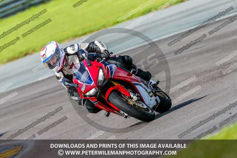 PJ Motorsport;anglesey no limits trackday;anglesey photographs;anglesey trackday photographs;enduro digital images;event digital images;eventdigitalimages;no limits trackdays;peter wileman photography;racing digital images;trac mon;trackday digital images;trackday photos;ty croes