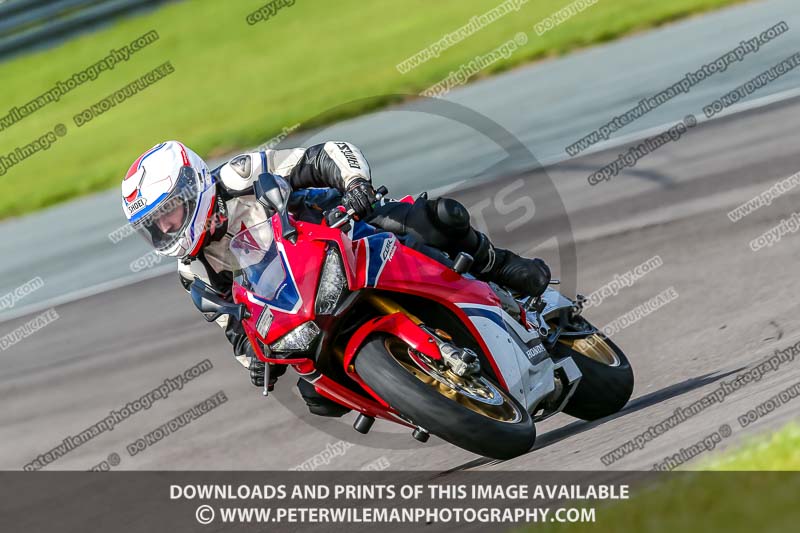 PJ Motorsport;anglesey no limits trackday;anglesey photographs;anglesey trackday photographs;enduro digital images;event digital images;eventdigitalimages;no limits trackdays;peter wileman photography;racing digital images;trac mon;trackday digital images;trackday photos;ty croes