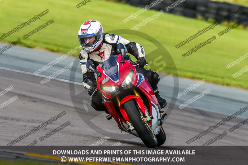 PJ Motorsport;anglesey no limits trackday;anglesey photographs;anglesey trackday photographs;enduro digital images;event digital images;eventdigitalimages;no limits trackdays;peter wileman photography;racing digital images;trac mon;trackday digital images;trackday photos;ty croes