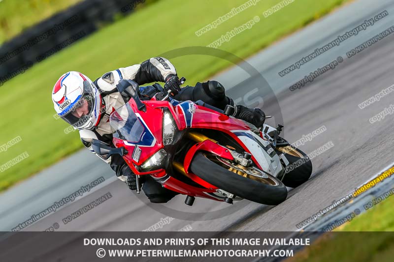 PJ Motorsport;anglesey no limits trackday;anglesey photographs;anglesey trackday photographs;enduro digital images;event digital images;eventdigitalimages;no limits trackdays;peter wileman photography;racing digital images;trac mon;trackday digital images;trackday photos;ty croes
