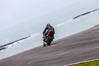PJ-Motorsport;anglesey-no-limits-trackday;anglesey-photographs;anglesey-trackday-photographs;enduro-digital-images;event-digital-images;eventdigitalimages;no-limits-trackdays;peter-wileman-photography;racing-digital-images;trac-mon;trackday-digital-images;trackday-photos;ty-croes