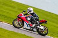 PJ-Motorsport;anglesey-no-limits-trackday;anglesey-photographs;anglesey-trackday-photographs;enduro-digital-images;event-digital-images;eventdigitalimages;no-limits-trackdays;peter-wileman-photography;racing-digital-images;trac-mon;trackday-digital-images;trackday-photos;ty-croes