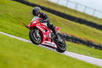 PJ-Motorsport;anglesey-no-limits-trackday;anglesey-photographs;anglesey-trackday-photographs;enduro-digital-images;event-digital-images;eventdigitalimages;no-limits-trackdays;peter-wileman-photography;racing-digital-images;trac-mon;trackday-digital-images;trackday-photos;ty-croes