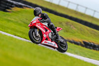 PJ-Motorsport;anglesey-no-limits-trackday;anglesey-photographs;anglesey-trackday-photographs;enduro-digital-images;event-digital-images;eventdigitalimages;no-limits-trackdays;peter-wileman-photography;racing-digital-images;trac-mon;trackday-digital-images;trackday-photos;ty-croes