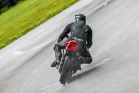 PJ-Motorsport;anglesey-no-limits-trackday;anglesey-photographs;anglesey-trackday-photographs;enduro-digital-images;event-digital-images;eventdigitalimages;no-limits-trackdays;peter-wileman-photography;racing-digital-images;trac-mon;trackday-digital-images;trackday-photos;ty-croes