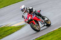 PJ-Motorsport;anglesey-no-limits-trackday;anglesey-photographs;anglesey-trackday-photographs;enduro-digital-images;event-digital-images;eventdigitalimages;no-limits-trackdays;peter-wileman-photography;racing-digital-images;trac-mon;trackday-digital-images;trackday-photos;ty-croes