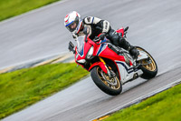 PJ-Motorsport;anglesey-no-limits-trackday;anglesey-photographs;anglesey-trackday-photographs;enduro-digital-images;event-digital-images;eventdigitalimages;no-limits-trackdays;peter-wileman-photography;racing-digital-images;trac-mon;trackday-digital-images;trackday-photos;ty-croes
