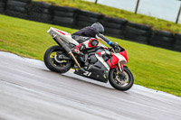 PJ-Motorsport;anglesey-no-limits-trackday;anglesey-photographs;anglesey-trackday-photographs;enduro-digital-images;event-digital-images;eventdigitalimages;no-limits-trackdays;peter-wileman-photography;racing-digital-images;trac-mon;trackday-digital-images;trackday-photos;ty-croes