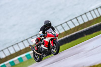 PJ-Motorsport;anglesey-no-limits-trackday;anglesey-photographs;anglesey-trackday-photographs;enduro-digital-images;event-digital-images;eventdigitalimages;no-limits-trackdays;peter-wileman-photography;racing-digital-images;trac-mon;trackday-digital-images;trackday-photos;ty-croes