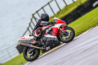 PJ-Motorsport;anglesey-no-limits-trackday;anglesey-photographs;anglesey-trackday-photographs;enduro-digital-images;event-digital-images;eventdigitalimages;no-limits-trackdays;peter-wileman-photography;racing-digital-images;trac-mon;trackday-digital-images;trackday-photos;ty-croes
