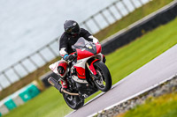 PJ-Motorsport;anglesey-no-limits-trackday;anglesey-photographs;anglesey-trackday-photographs;enduro-digital-images;event-digital-images;eventdigitalimages;no-limits-trackdays;peter-wileman-photography;racing-digital-images;trac-mon;trackday-digital-images;trackday-photos;ty-croes