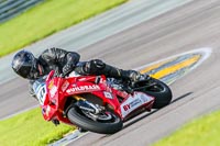 PJ-Motorsport;anglesey-no-limits-trackday;anglesey-photographs;anglesey-trackday-photographs;enduro-digital-images;event-digital-images;eventdigitalimages;no-limits-trackdays;peter-wileman-photography;racing-digital-images;trac-mon;trackday-digital-images;trackday-photos;ty-croes
