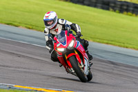 PJ-Motorsport;anglesey-no-limits-trackday;anglesey-photographs;anglesey-trackday-photographs;enduro-digital-images;event-digital-images;eventdigitalimages;no-limits-trackdays;peter-wileman-photography;racing-digital-images;trac-mon;trackday-digital-images;trackday-photos;ty-croes