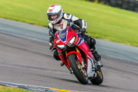 PJ-Motorsport;anglesey-no-limits-trackday;anglesey-photographs;anglesey-trackday-photographs;enduro-digital-images;event-digital-images;eventdigitalimages;no-limits-trackdays;peter-wileman-photography;racing-digital-images;trac-mon;trackday-digital-images;trackday-photos;ty-croes
