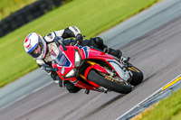 PJ-Motorsport;anglesey-no-limits-trackday;anglesey-photographs;anglesey-trackday-photographs;enduro-digital-images;event-digital-images;eventdigitalimages;no-limits-trackdays;peter-wileman-photography;racing-digital-images;trac-mon;trackday-digital-images;trackday-photos;ty-croes