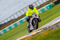 PJ-Motorsport;anglesey-no-limits-trackday;anglesey-photographs;anglesey-trackday-photographs;enduro-digital-images;event-digital-images;eventdigitalimages;no-limits-trackdays;peter-wileman-photography;racing-digital-images;trac-mon;trackday-digital-images;trackday-photos;ty-croes