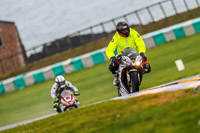 PJ-Motorsport;anglesey-no-limits-trackday;anglesey-photographs;anglesey-trackday-photographs;enduro-digital-images;event-digital-images;eventdigitalimages;no-limits-trackdays;peter-wileman-photography;racing-digital-images;trac-mon;trackday-digital-images;trackday-photos;ty-croes