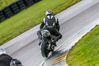 PJ-Motorsport;anglesey-no-limits-trackday;anglesey-photographs;anglesey-trackday-photographs;enduro-digital-images;event-digital-images;eventdigitalimages;no-limits-trackdays;peter-wileman-photography;racing-digital-images;trac-mon;trackday-digital-images;trackday-photos;ty-croes