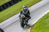 PJ-Motorsport;anglesey-no-limits-trackday;anglesey-photographs;anglesey-trackday-photographs;enduro-digital-images;event-digital-images;eventdigitalimages;no-limits-trackdays;peter-wileman-photography;racing-digital-images;trac-mon;trackday-digital-images;trackday-photos;ty-croes