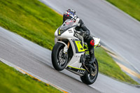 PJ-Motorsport;anglesey-no-limits-trackday;anglesey-photographs;anglesey-trackday-photographs;enduro-digital-images;event-digital-images;eventdigitalimages;no-limits-trackdays;peter-wileman-photography;racing-digital-images;trac-mon;trackday-digital-images;trackday-photos;ty-croes