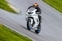PJ-Motorsport;anglesey-no-limits-trackday;anglesey-photographs;anglesey-trackday-photographs;enduro-digital-images;event-digital-images;eventdigitalimages;no-limits-trackdays;peter-wileman-photography;racing-digital-images;trac-mon;trackday-digital-images;trackday-photos;ty-croes