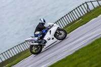 PJ-Motorsport;anglesey-no-limits-trackday;anglesey-photographs;anglesey-trackday-photographs;enduro-digital-images;event-digital-images;eventdigitalimages;no-limits-trackdays;peter-wileman-photography;racing-digital-images;trac-mon;trackday-digital-images;trackday-photos;ty-croes