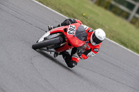 Advanced Group Red Bikes