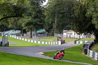 Advanced Group Red Bikes