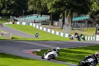 Advanced Group White Bikes