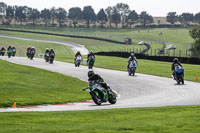 Lower Group Green Bikes