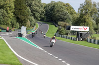 Lower Group White Bikes
