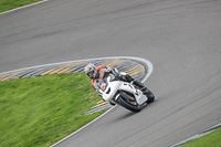 Advanced Group White Bikes