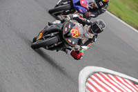 anglesey;brands-hatch;cadwell-park;croft;donington-park;enduro-digital-images;event-digital-images;eventdigitalimages;mallory;no-limits;oulton-park;peter-wileman-photography;racing-digital-images;silverstone;snetterton;trackday-digital-images;trackday-photos;vmcc-banbury-run;welsh-2-day-enduro