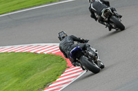 anglesey;brands-hatch;cadwell-park;croft;donington-park;enduro-digital-images;event-digital-images;eventdigitalimages;mallory;no-limits;oulton-park;peter-wileman-photography;racing-digital-images;silverstone;snetterton;trackday-digital-images;trackday-photos;vmcc-banbury-run;welsh-2-day-enduro