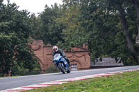 anglesey;brands-hatch;cadwell-park;croft;donington-park;enduro-digital-images;event-digital-images;eventdigitalimages;mallory;no-limits;oulton-park;peter-wileman-photography;racing-digital-images;silverstone;snetterton;trackday-digital-images;trackday-photos;vmcc-banbury-run;welsh-2-day-enduro