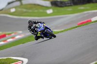 anglesey;brands-hatch;cadwell-park;croft;donington-park;enduro-digital-images;event-digital-images;eventdigitalimages;mallory;no-limits;oulton-park;peter-wileman-photography;racing-digital-images;silverstone;snetterton;trackday-digital-images;trackday-photos;vmcc-banbury-run;welsh-2-day-enduro
