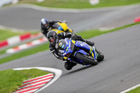 anglesey;brands-hatch;cadwell-park;croft;donington-park;enduro-digital-images;event-digital-images;eventdigitalimages;mallory;no-limits;oulton-park;peter-wileman-photography;racing-digital-images;silverstone;snetterton;trackday-digital-images;trackday-photos;vmcc-banbury-run;welsh-2-day-enduro