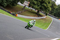 anglesey;brands-hatch;cadwell-park;croft;donington-park;enduro-digital-images;event-digital-images;eventdigitalimages;mallory;no-limits;oulton-park;peter-wileman-photography;racing-digital-images;silverstone;snetterton;trackday-digital-images;trackday-photos;vmcc-banbury-run;welsh-2-day-enduro