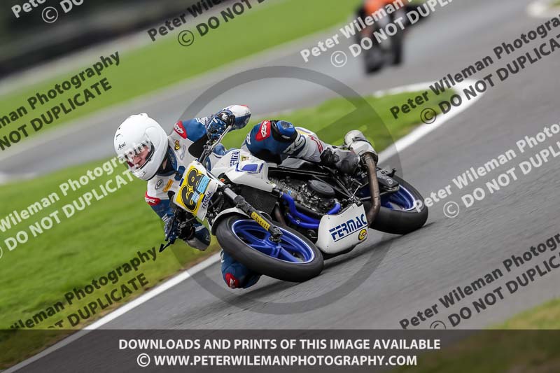 anglesey;brands hatch;cadwell park;croft;donington park;enduro digital images;event digital images;eventdigitalimages;mallory;no limits;oulton park;peter wileman photography;racing digital images;silverstone;snetterton;trackday digital images;trackday photos;vmcc banbury run;welsh 2 day enduro