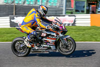 Advanced Group Multicolour Bikes