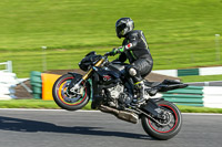 Lower Group Black Bikes