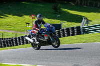 cadwell-no-limits-trackday;cadwell-park;cadwell-park-photographs;cadwell-trackday-photographs;enduro-digital-images;event-digital-images;eventdigitalimages;no-limits-trackdays;peter-wileman-photography;racing-digital-images;trackday-digital-images;trackday-photos