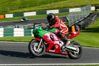 cadwell-no-limits-trackday;cadwell-park;cadwell-park-photographs;cadwell-trackday-photographs;enduro-digital-images;event-digital-images;eventdigitalimages;no-limits-trackdays;peter-wileman-photography;racing-digital-images;trackday-digital-images;trackday-photos