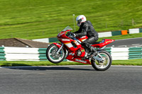 cadwell-no-limits-trackday;cadwell-park;cadwell-park-photographs;cadwell-trackday-photographs;enduro-digital-images;event-digital-images;eventdigitalimages;no-limits-trackdays;peter-wileman-photography;racing-digital-images;trackday-digital-images;trackday-photos