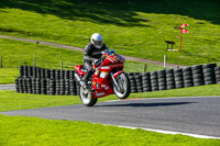 cadwell-no-limits-trackday;cadwell-park;cadwell-park-photographs;cadwell-trackday-photographs;enduro-digital-images;event-digital-images;eventdigitalimages;no-limits-trackdays;peter-wileman-photography;racing-digital-images;trackday-digital-images;trackday-photos