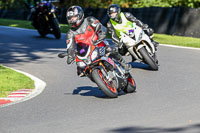 Lower Group Silver/Grey Bikes