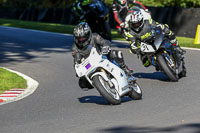 cadwell-no-limits-trackday;cadwell-park;cadwell-park-photographs;cadwell-trackday-photographs;enduro-digital-images;event-digital-images;eventdigitalimages;no-limits-trackdays;peter-wileman-photography;racing-digital-images;trackday-digital-images;trackday-photos